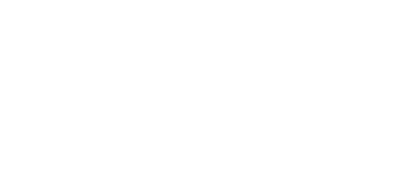 Subsidie-advies.png